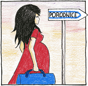 Porodnice Porodnice